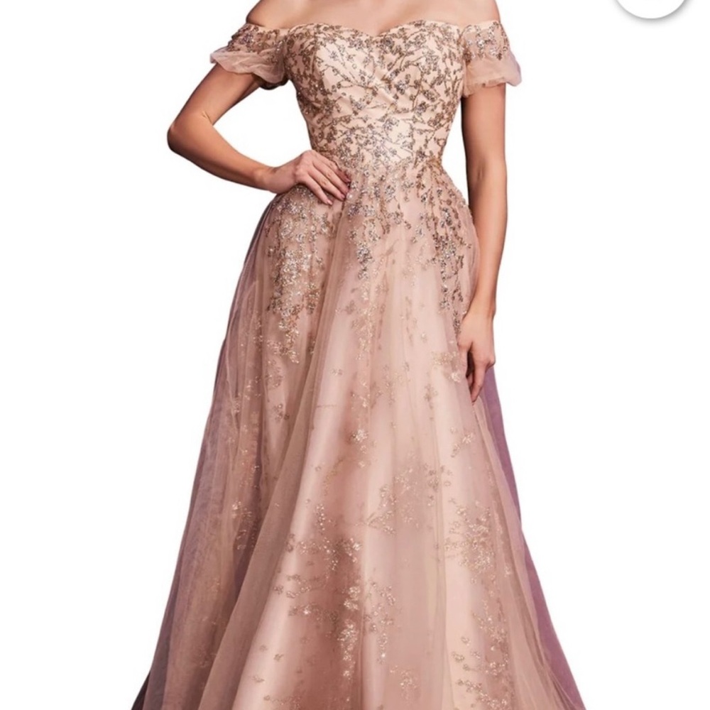 Cinderella Divine Gown